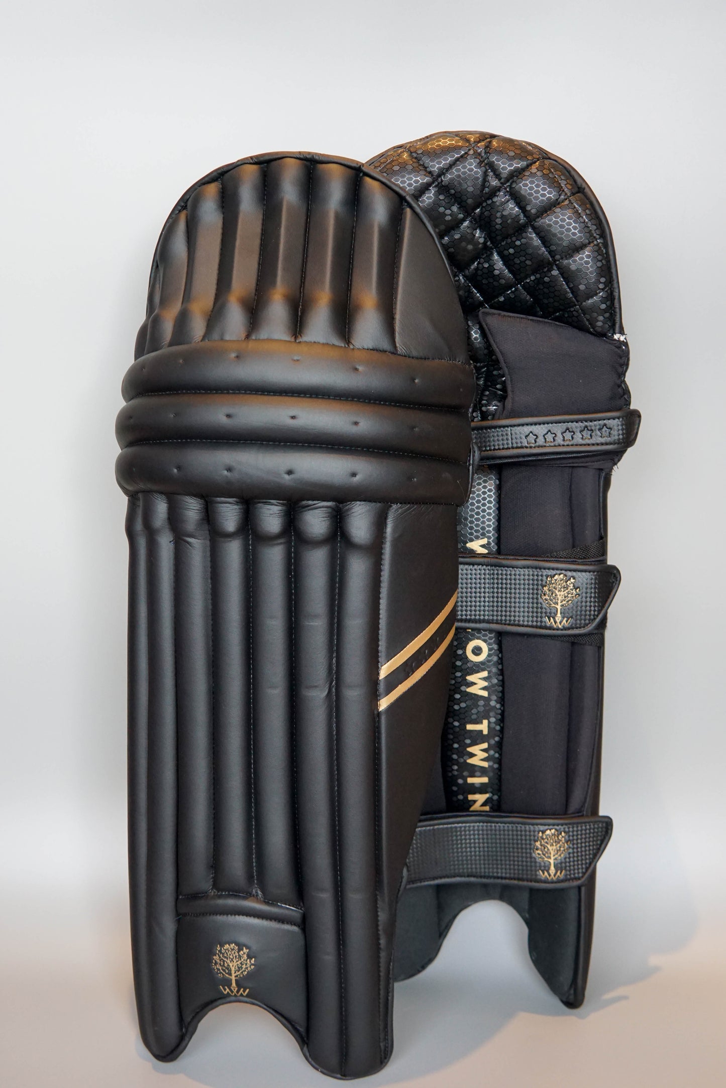 Cricket Batting Pads Coloured Black Willow Twin