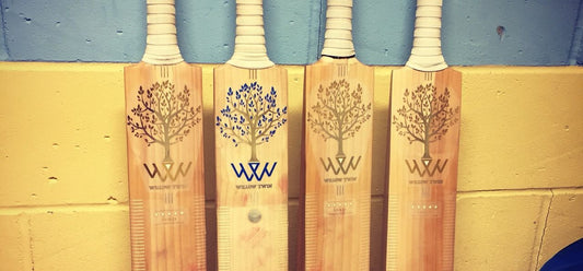 How to look after and maintain a Willow Twin cricket bat.