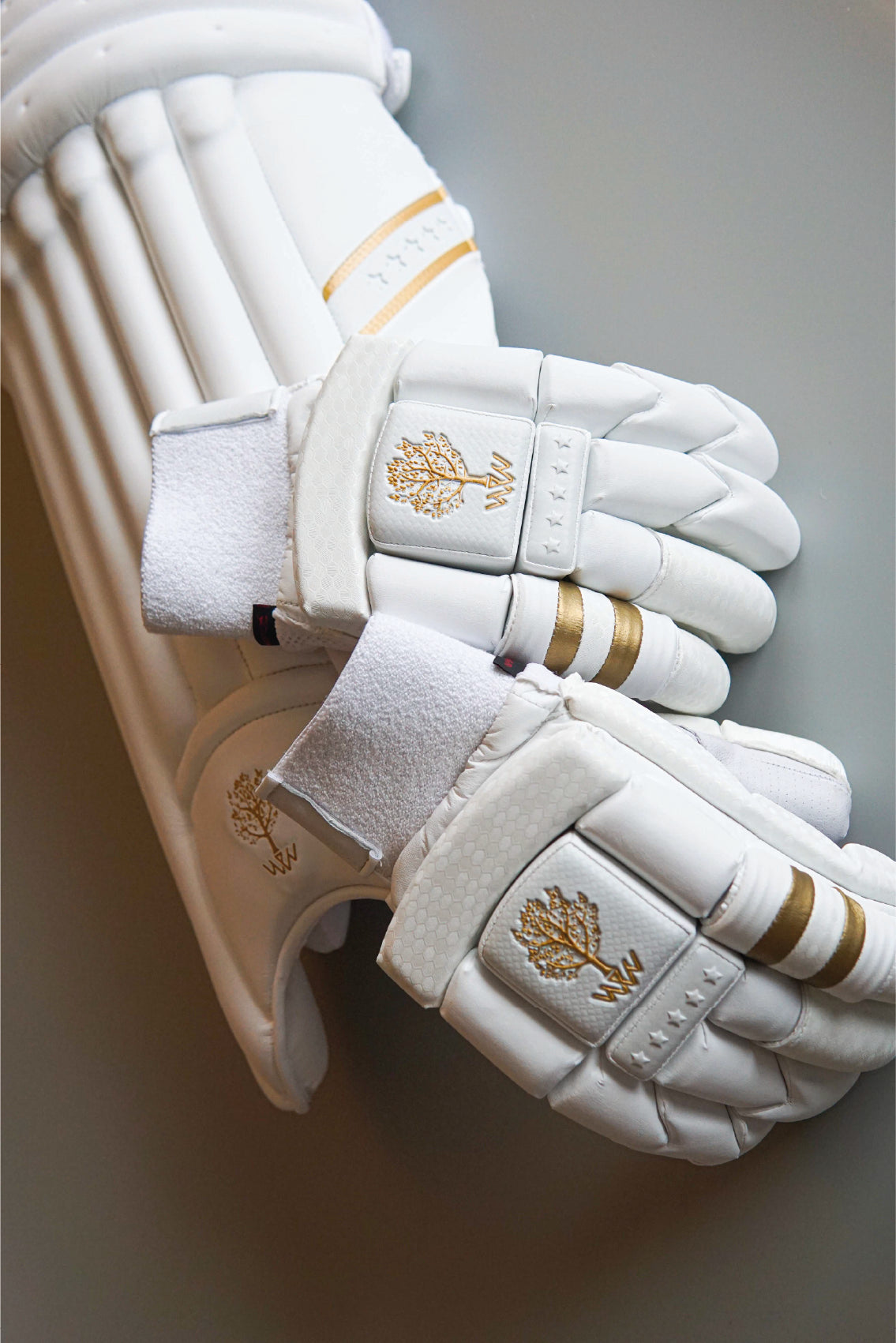 Cricket bat cheap pads and gloves