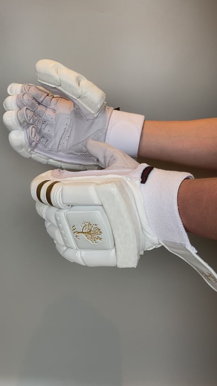 Big 5 2024 batting gloves